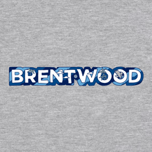 Load image into Gallery viewer, Adult Teen Skyline Spirit Tee
