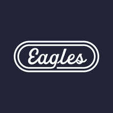 Load image into Gallery viewer, Youth Eagles Flow Classroom DriFit Polo

